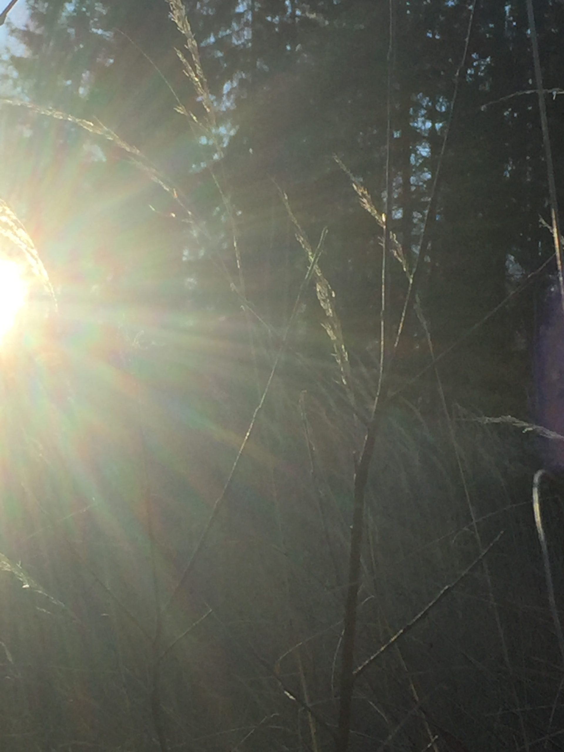 Kan man köpa vänskap och kärlek?